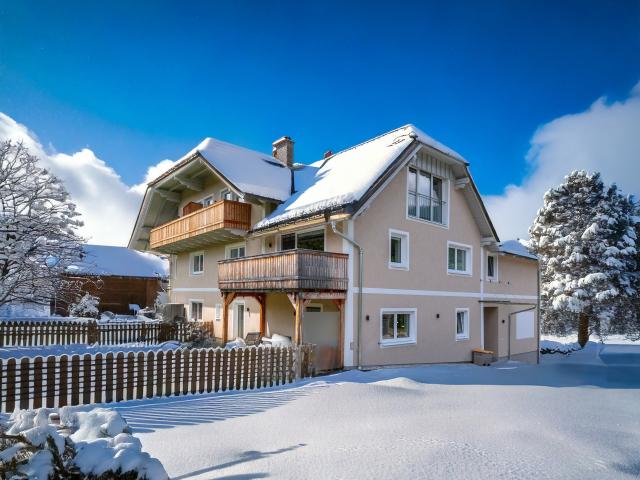 Exterieur vakantiehuis [winter]