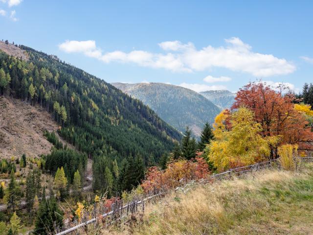 Direkte Umgebung (<1 km)