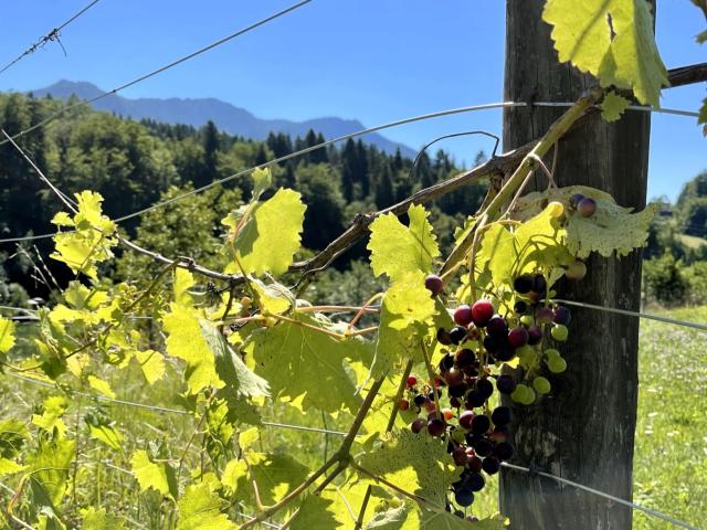 Direkte Umgebung (<1 km)