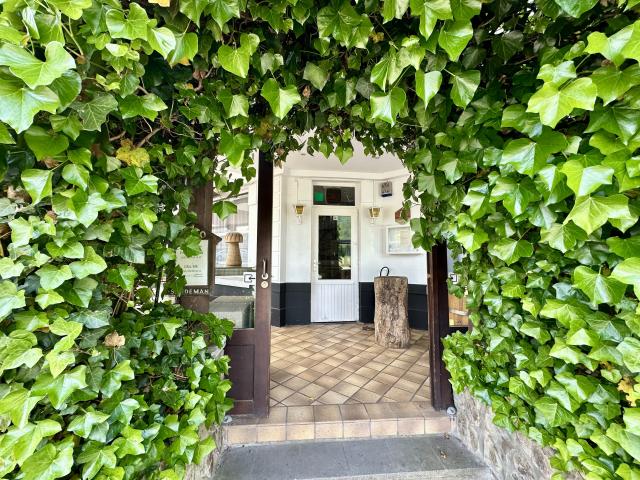 Entrance / Reception