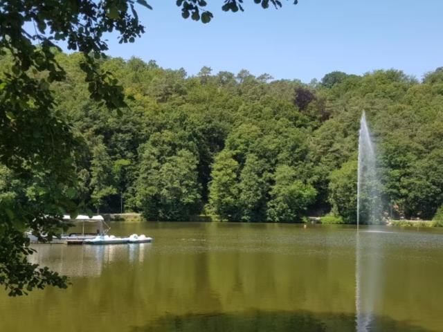 Immediate Surroundings (<1 km)