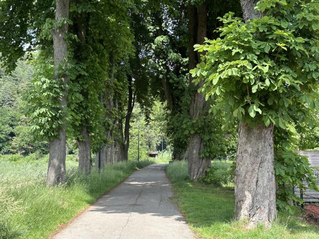 Immediate Surroundings (<1 km)