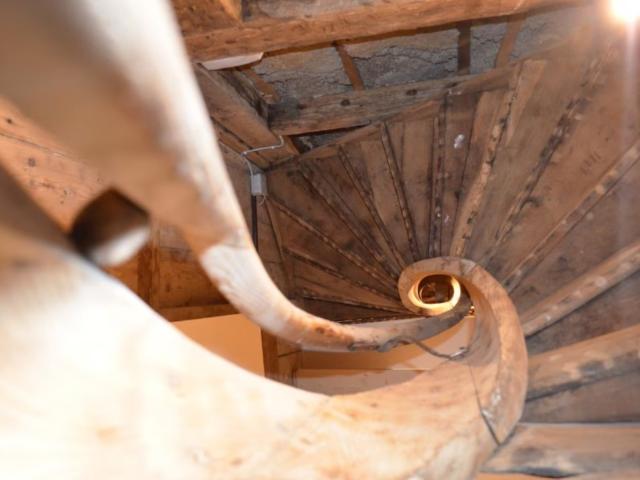 Ambiente / Nahaufnahme