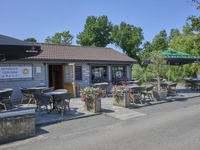 Ausstattung und Service des Ferienparks