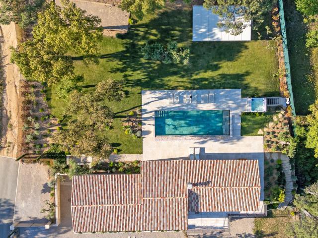 Pool des Ferienhauses