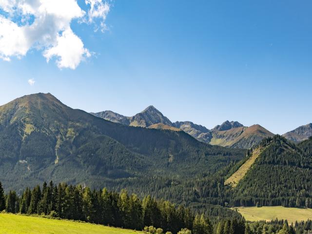 Dans les environs (1-5 km)