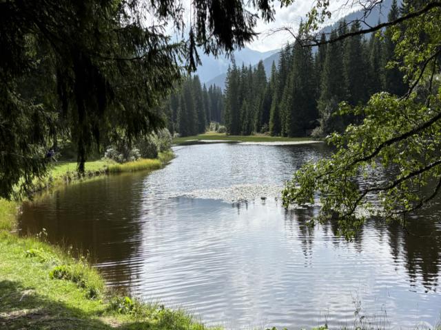 Dans la région (>5 km)