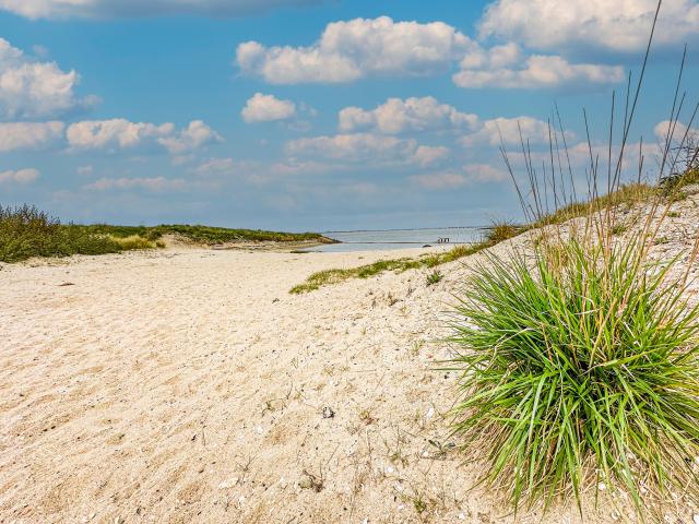 Direkte Umgebung (<1 km)