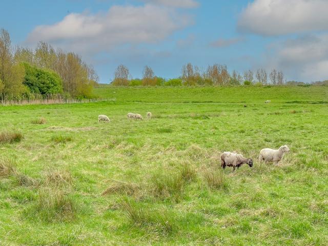 Direkte Umgebung (<1 km)