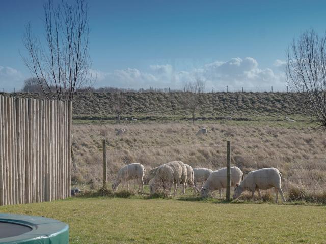 Aussicht vom Ferienhaus