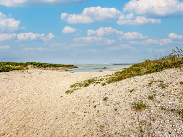 Immediate Surroundings (<1 km)