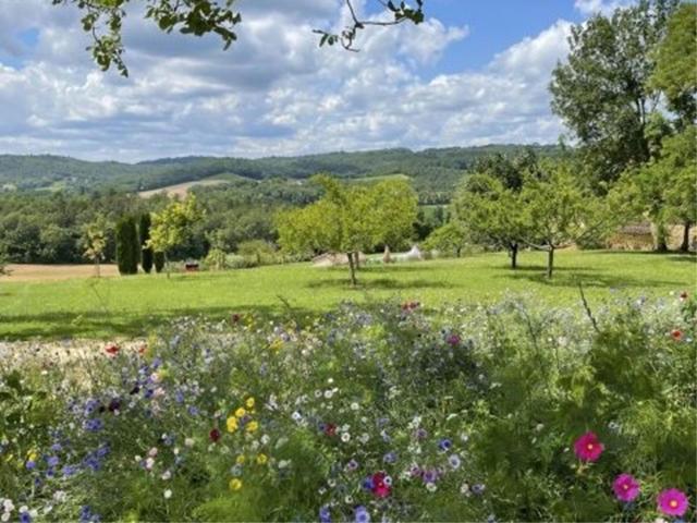 Aussicht vom Ferienhaus