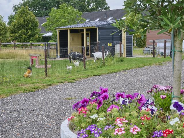 Immediate Surroundings (<1 km)