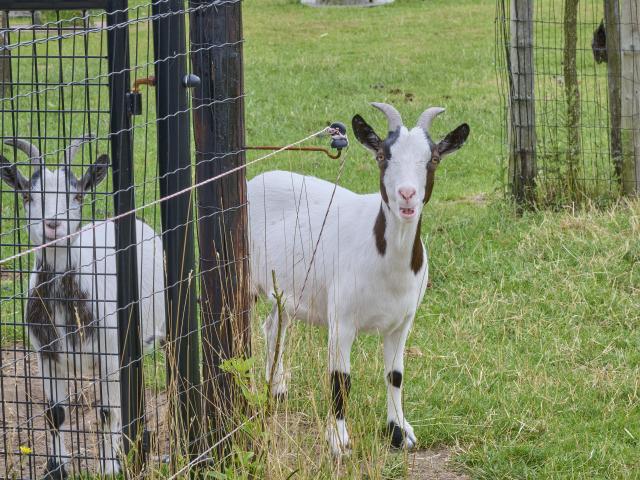 Immediate Surroundings (<1 km)