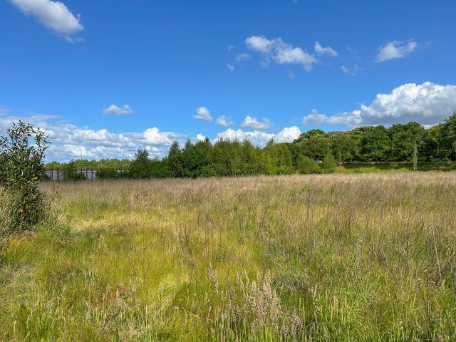 Direkte Umgebung (<1 km)