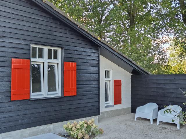 Ambiente / Nahaufnahme