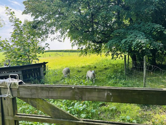 Direkte Umgebung (<1 km)