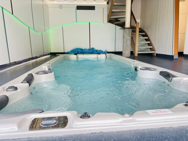 Pool des Ferienhauses