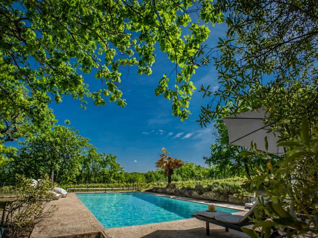 Holiday Home Swimming Pool