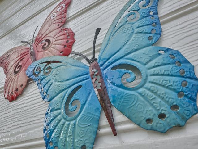 Ambiance / plan rapproché