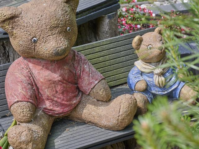 Ambiance / plan rapproché