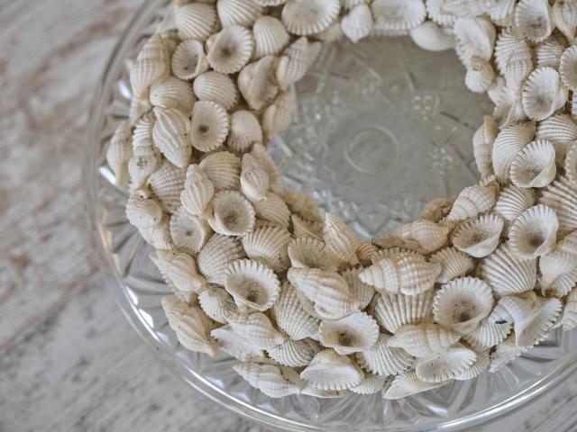 Ambiance / plan rapproché