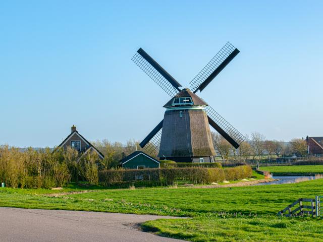 In der Region (>5 km)