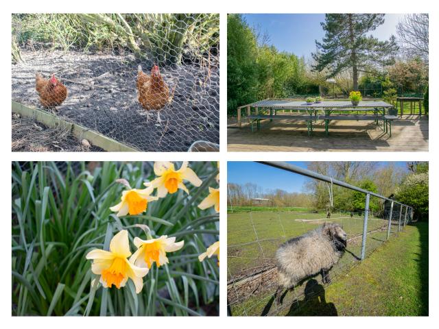 Ambiente / Nahaufnahme