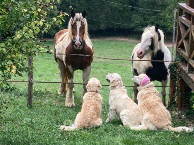 Ambiance / plan rapproché