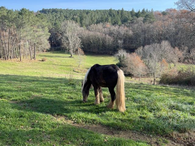 Vue de la maison de vacances