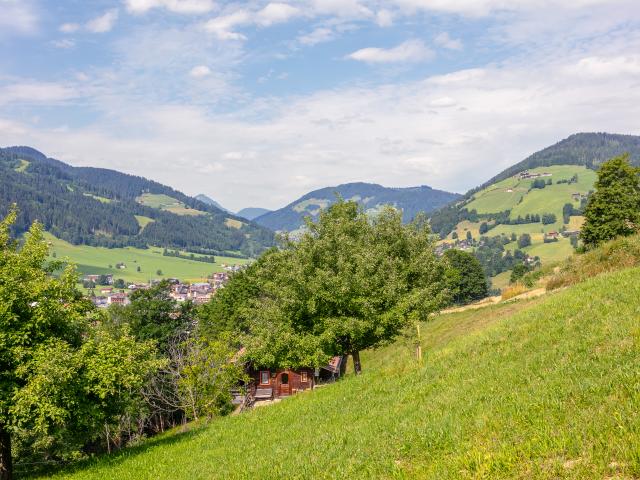 Directe omgeving (<1 km)