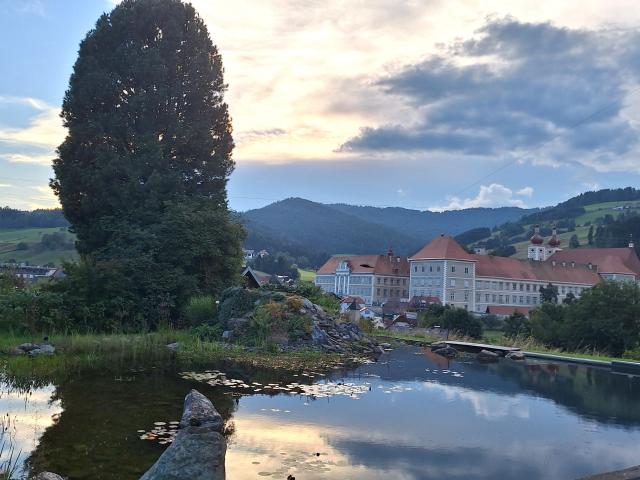 Directe omgeving (<1 km)