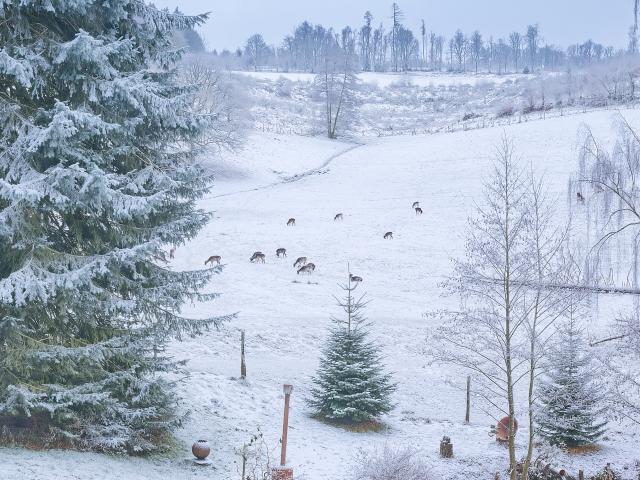 A proximité directe (<1 km)