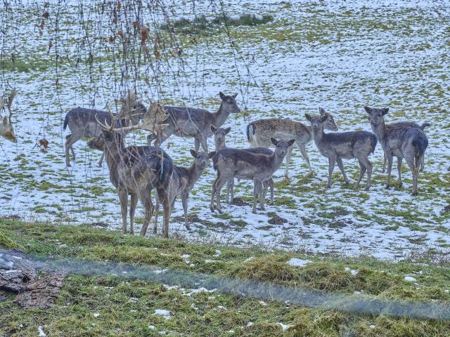 A proximité directe (<1 km)