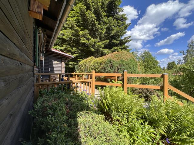 Aussicht vom Ferienhaus