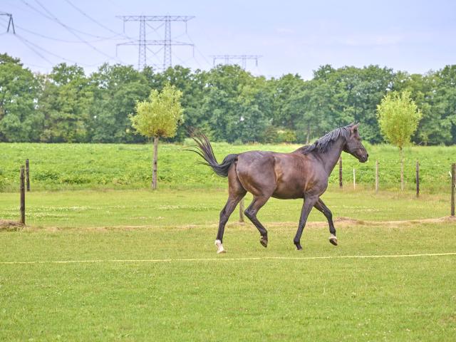Direkte Umgebung (<1 km)