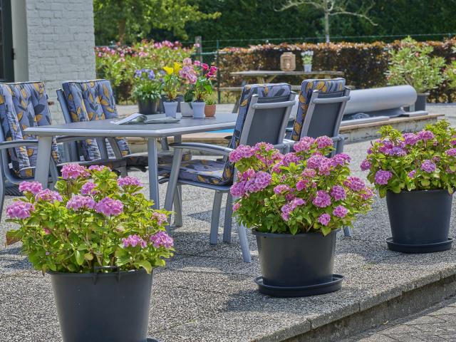 Ausstattung und Service des Ferienparks