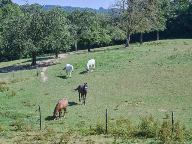 Uitzicht van vakantiehuis