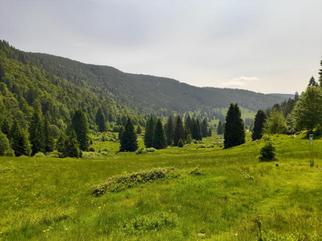 Direkte Umgebung (<1 km)