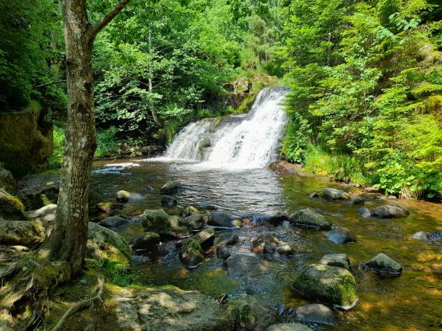 Direkte Umgebung (<1 km)