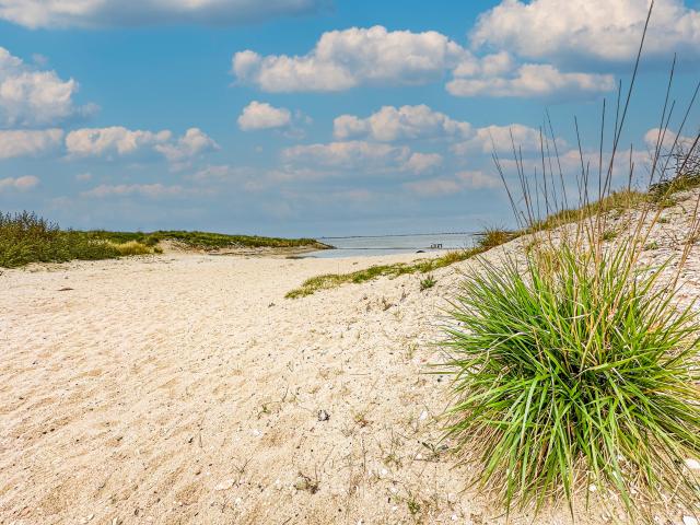 Immediate Surroundings (<1 km)