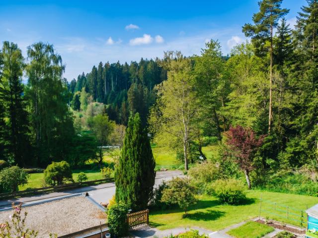 View from Holiday Home