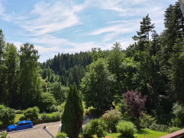 Aussicht vom Ferienhaus