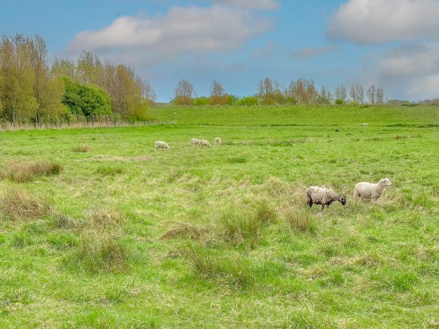 A proximité directe (<1 km)