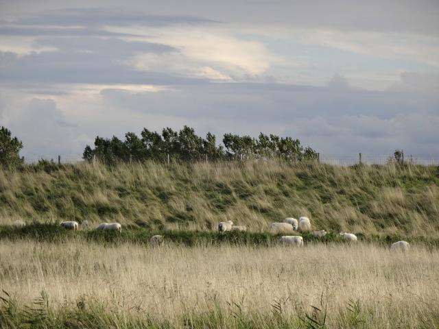 Uitzicht van vakantiehuis