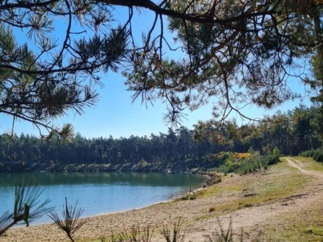 Directe omgeving (<1 km)