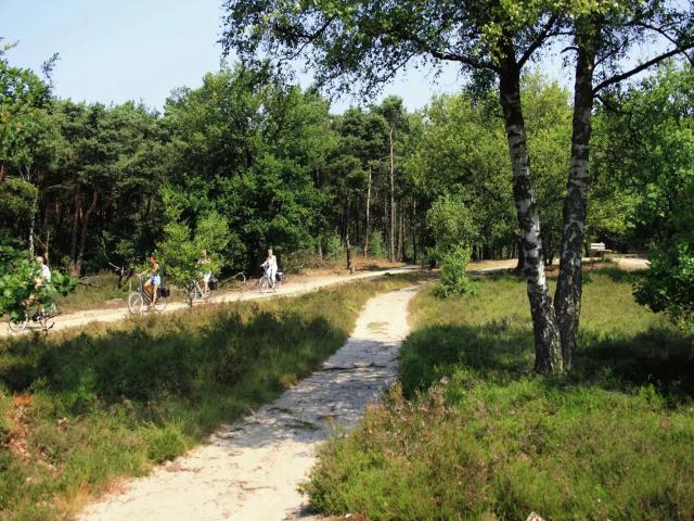 Omgeving (1-5 km)