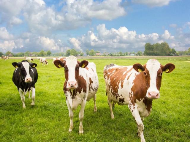 Uitzicht van vakantiehuis