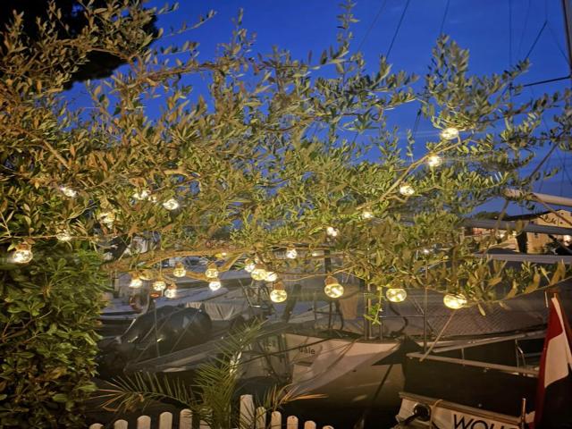 View from Holiday Home