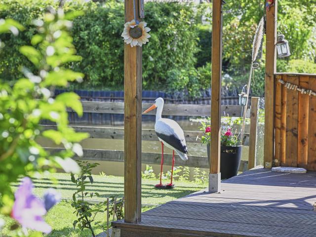 Ambiance / plan rapproché